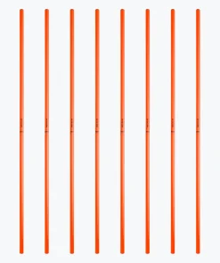 T1TAN Slalompalen Online